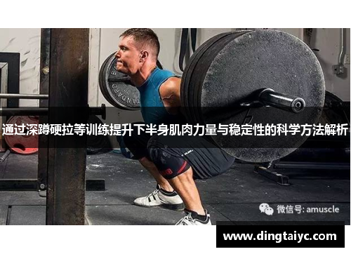 通过深蹲硬拉等训练提升下半身肌肉力量与稳定性的科学方法解析